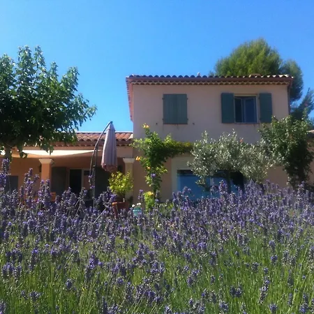 Les Grives Cotignac